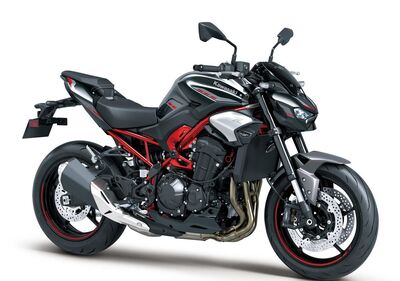 z900b.JPG