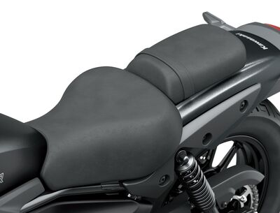 eliminator500g.jpg