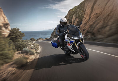 P90596239_highRes_the-new-bmw-r-1300-r.jpg