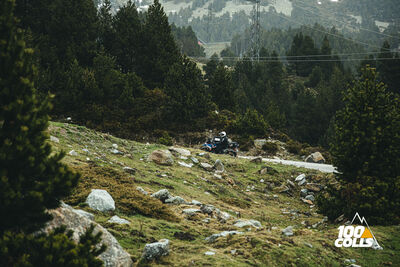 100-COLLS-2025-118.jpg