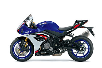 GSX-R1000R_C6F_left_winglets.jpg