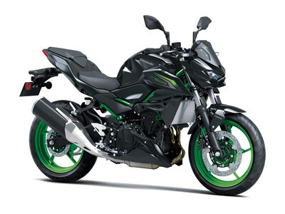 Z500 SE (3).jpg