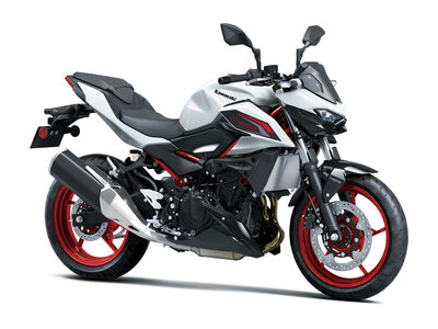 Z500 SE (6).jpg