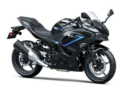 Ninja 500 SE (3).jpg