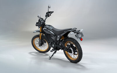 Flying Flea S6 LHS Rear 3 Quarter.jpg