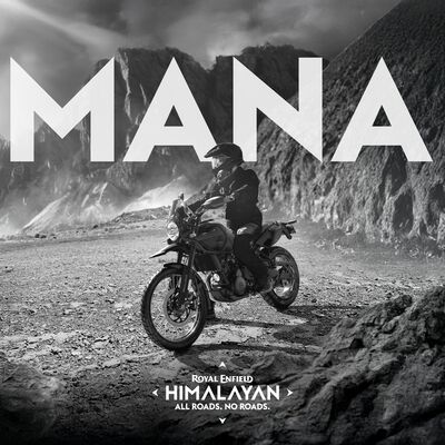 Himalayan 450- Mana Black(4).jpg
