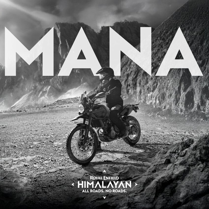 Himalayan 450- Mana Black(4).jpg