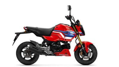 grom.jpg