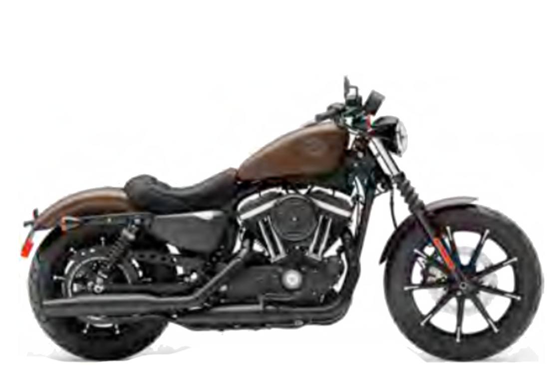 Harley Davidson Iron 883 Motochecker