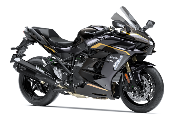 Kawasaki Ninja H2 SX (Performance)