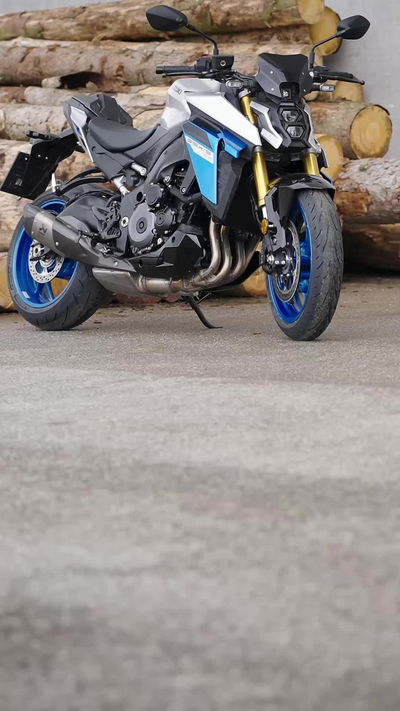 Suzuki GSX-S1000: Solide Power mit Stil